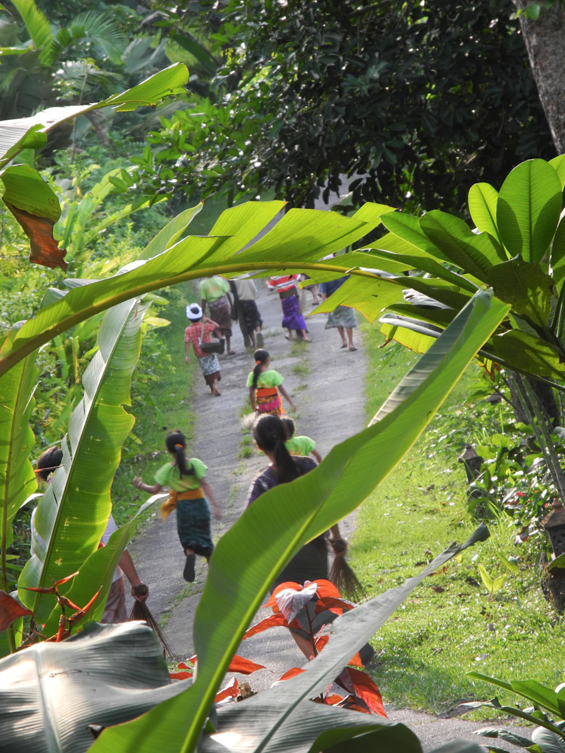 Sur la route
Bali - Indonésie Bali - Indonésie