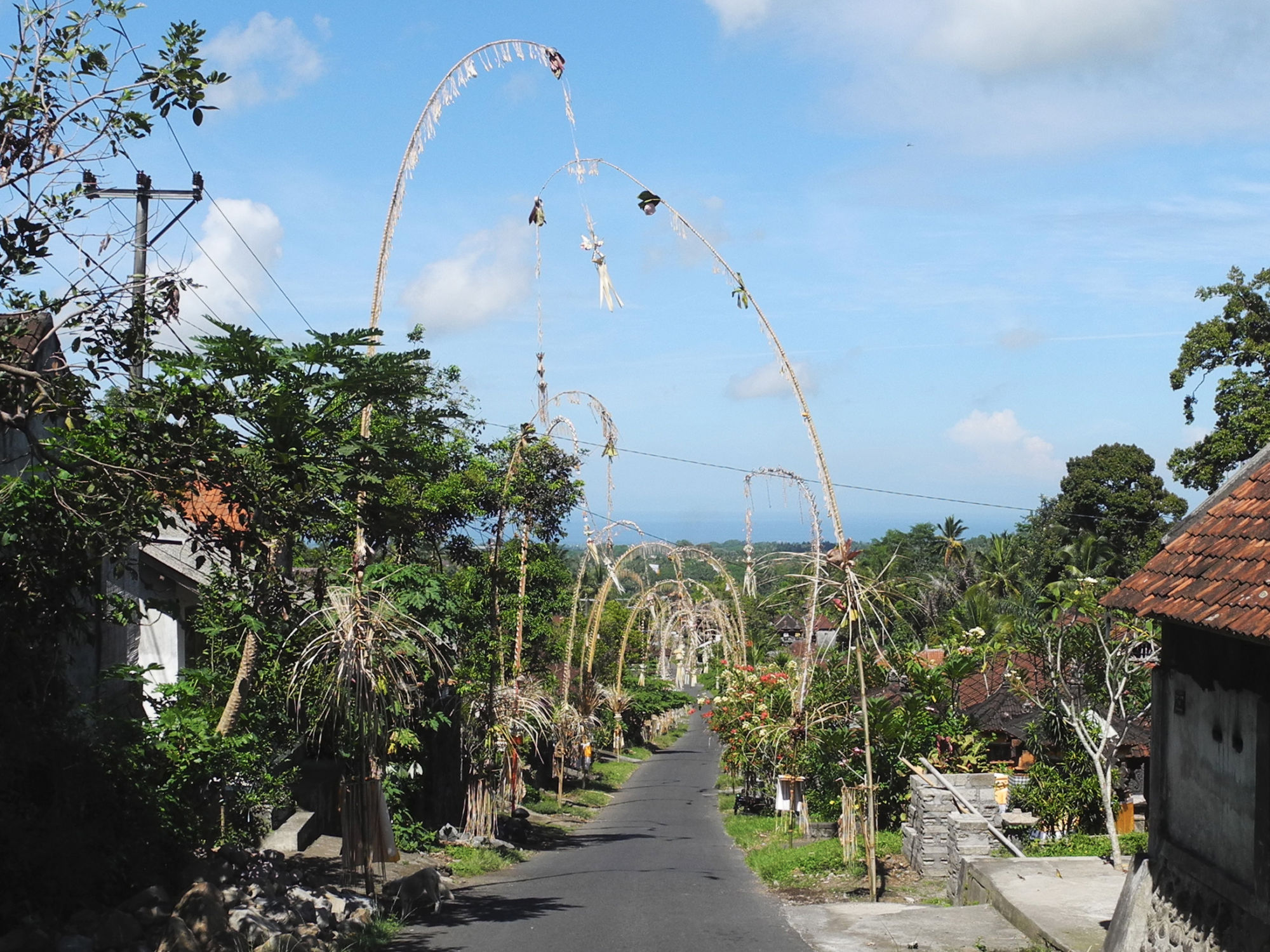 Sur la route
Bali - Indonésie Bali - Indonésie