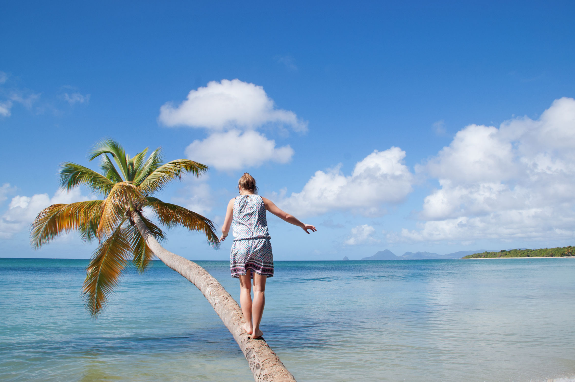 Laurie en équilibre sur un cocotier catamaran grenadines