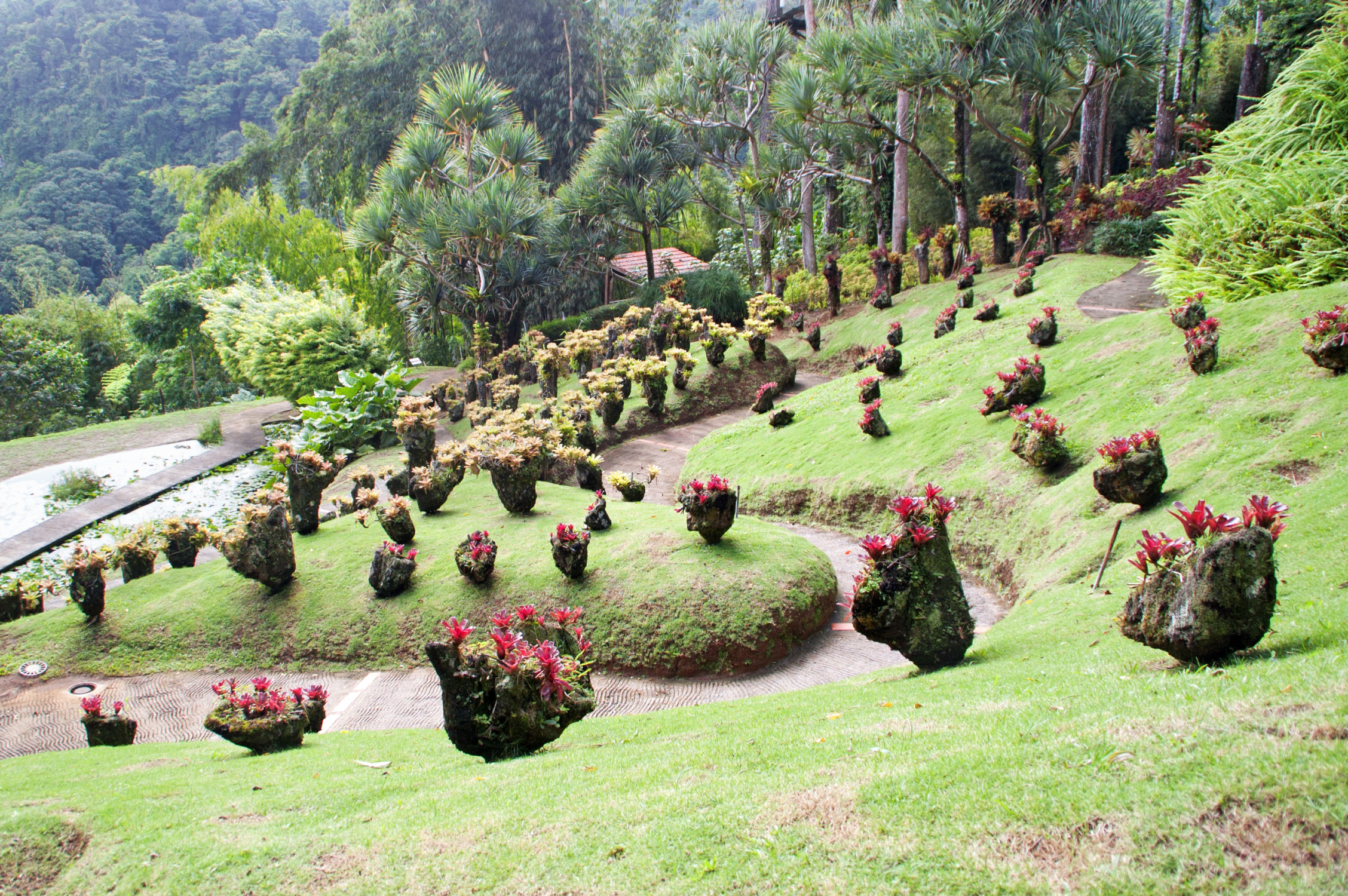 Jardin Balata à la Martinique catamaran grenadines