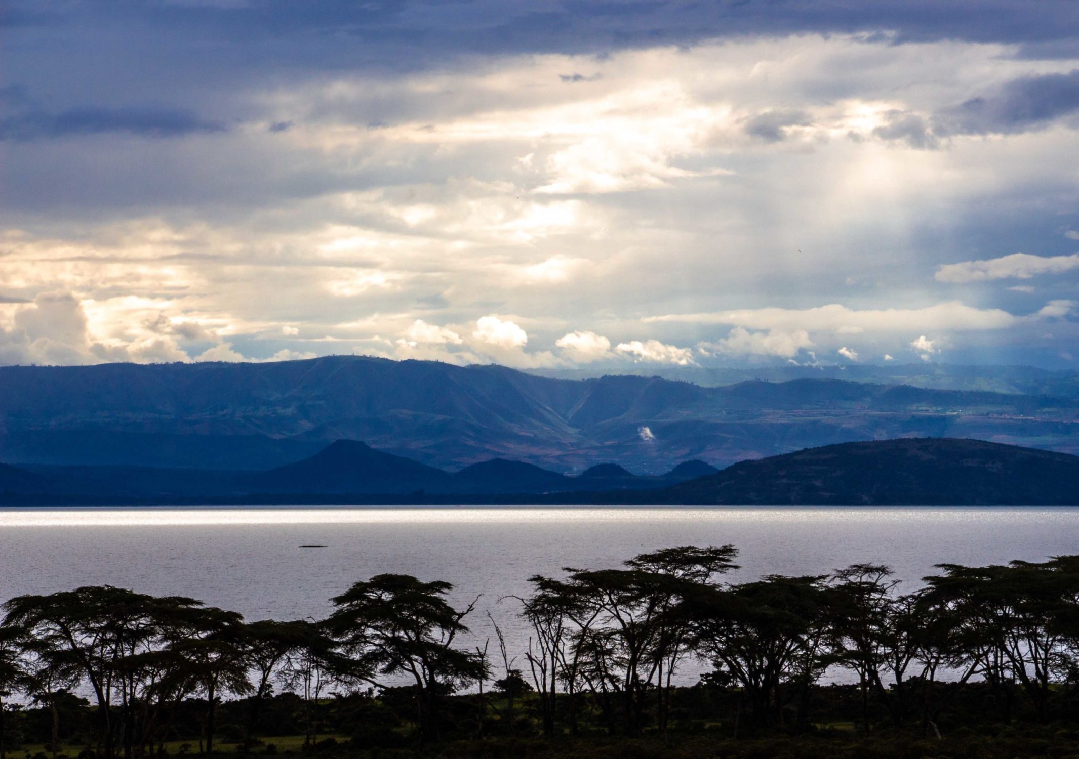 safari au Kenya safari au Kenya