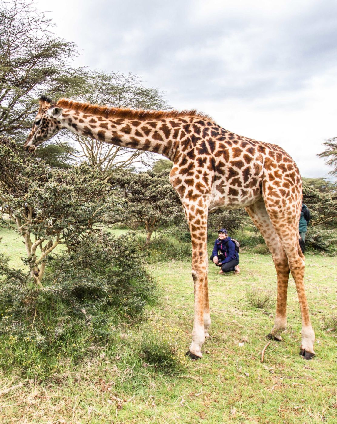 safari au Kenya safari au Kenya