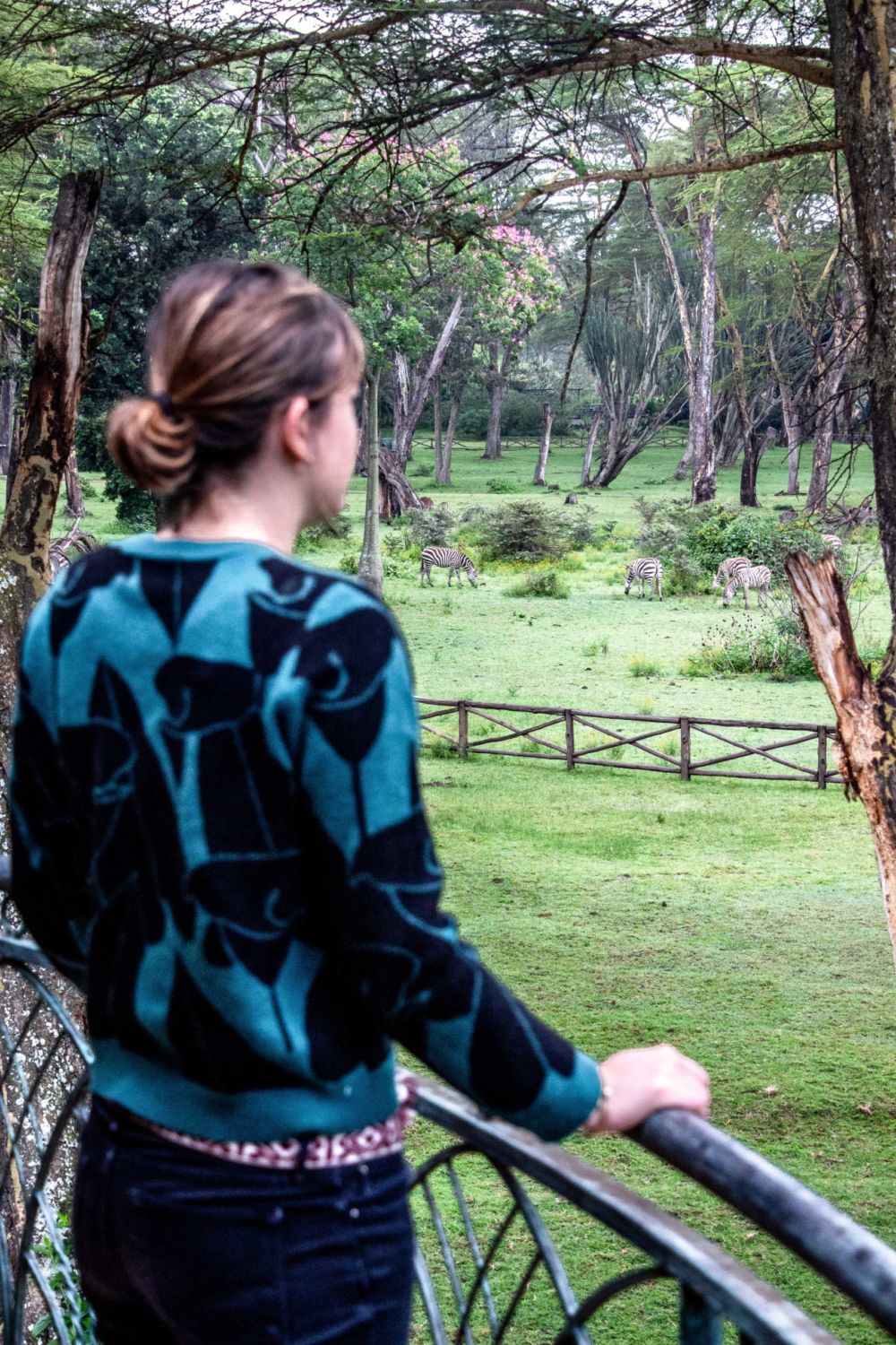 safari au Kenya safari au Kenya