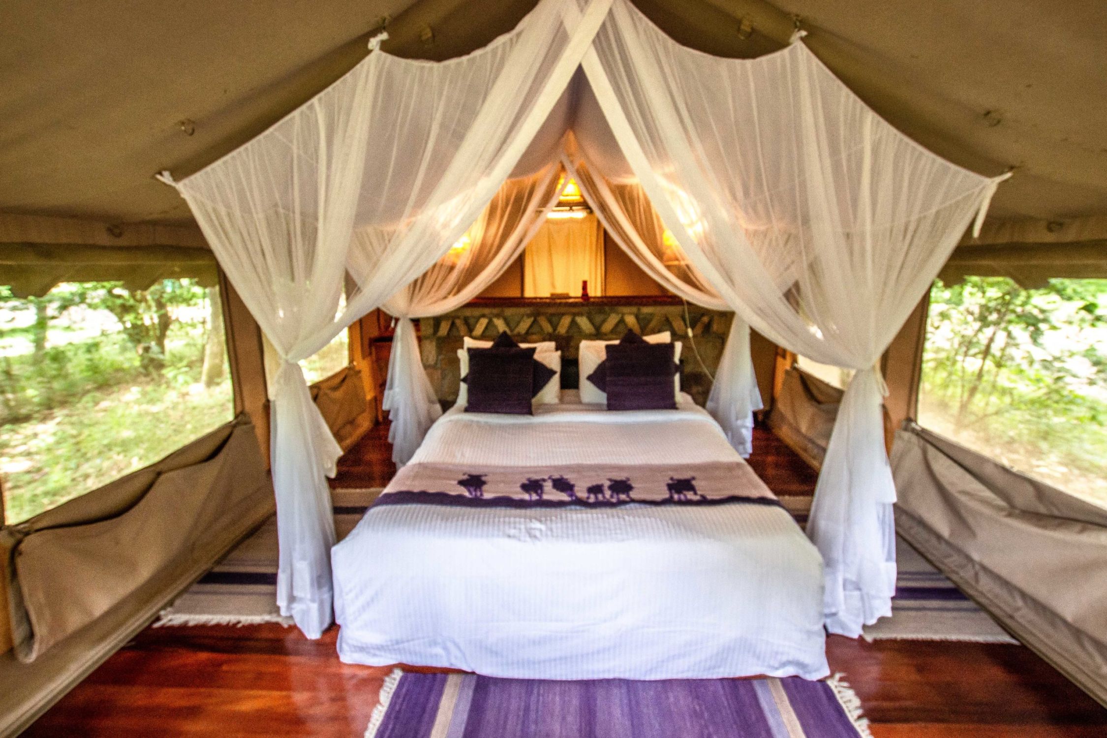 safari au Kenya safari au Kenya