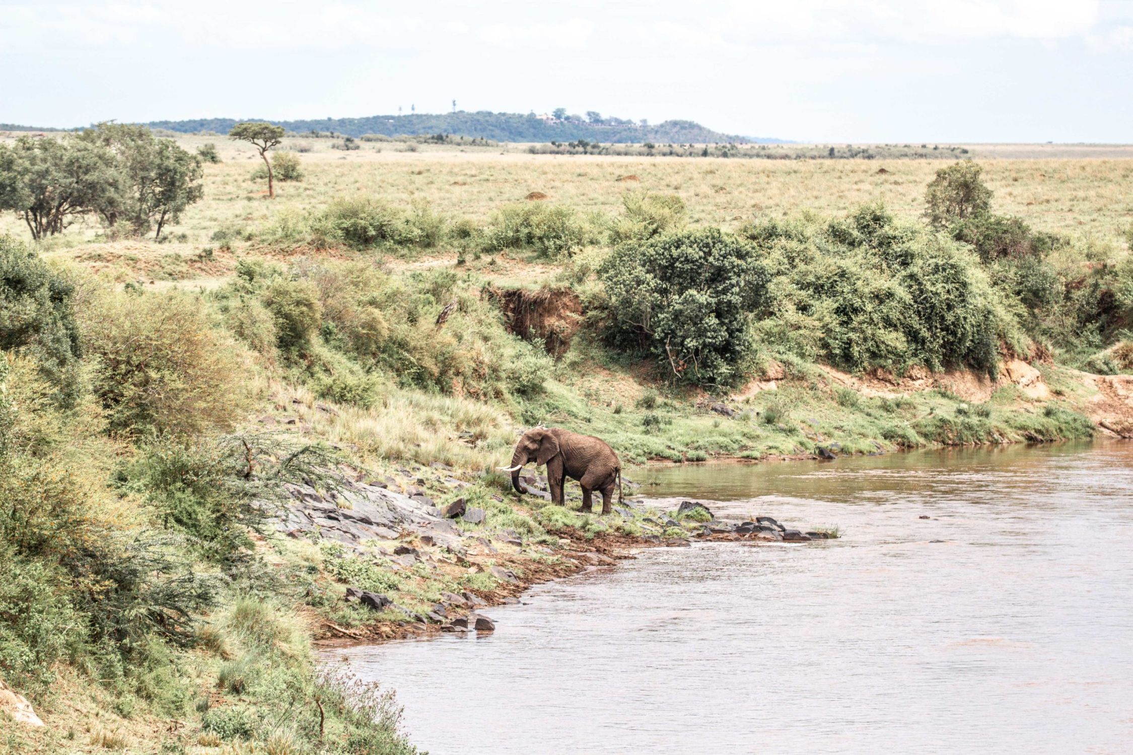 safari au Kenya safari au Kenya