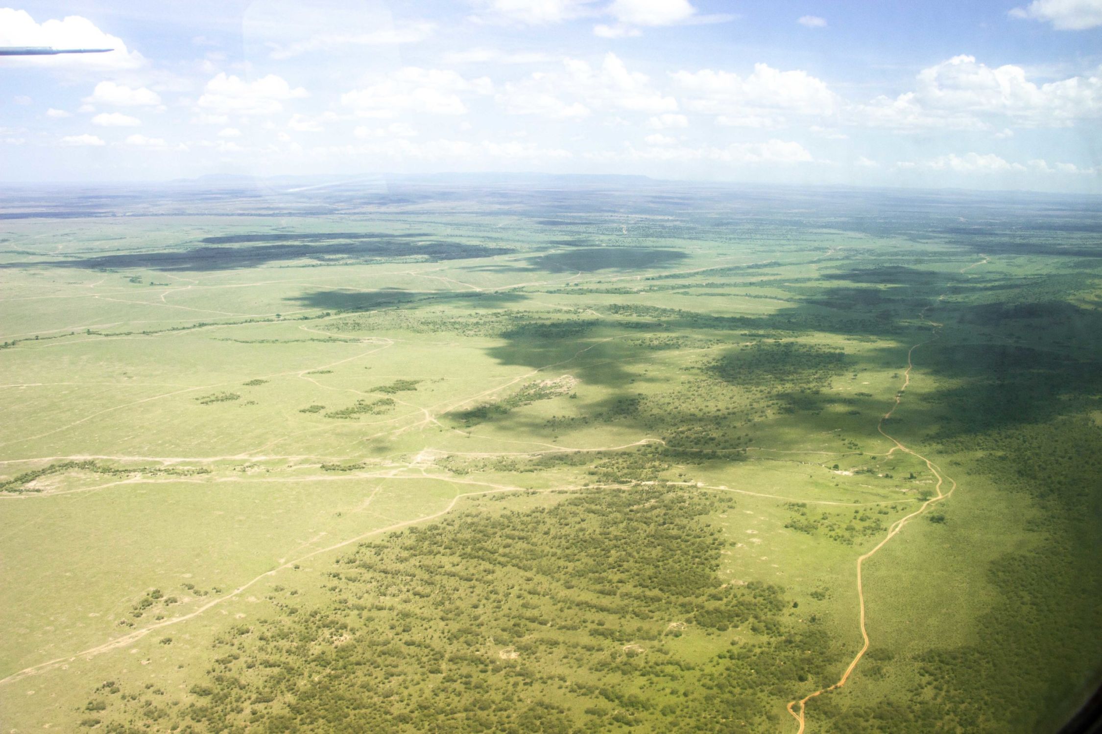 safari au Kenya safari au Kenya