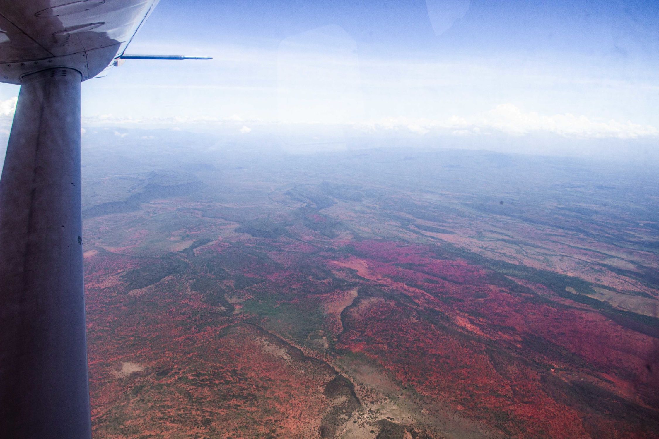safari au Kenya safari au Kenya
