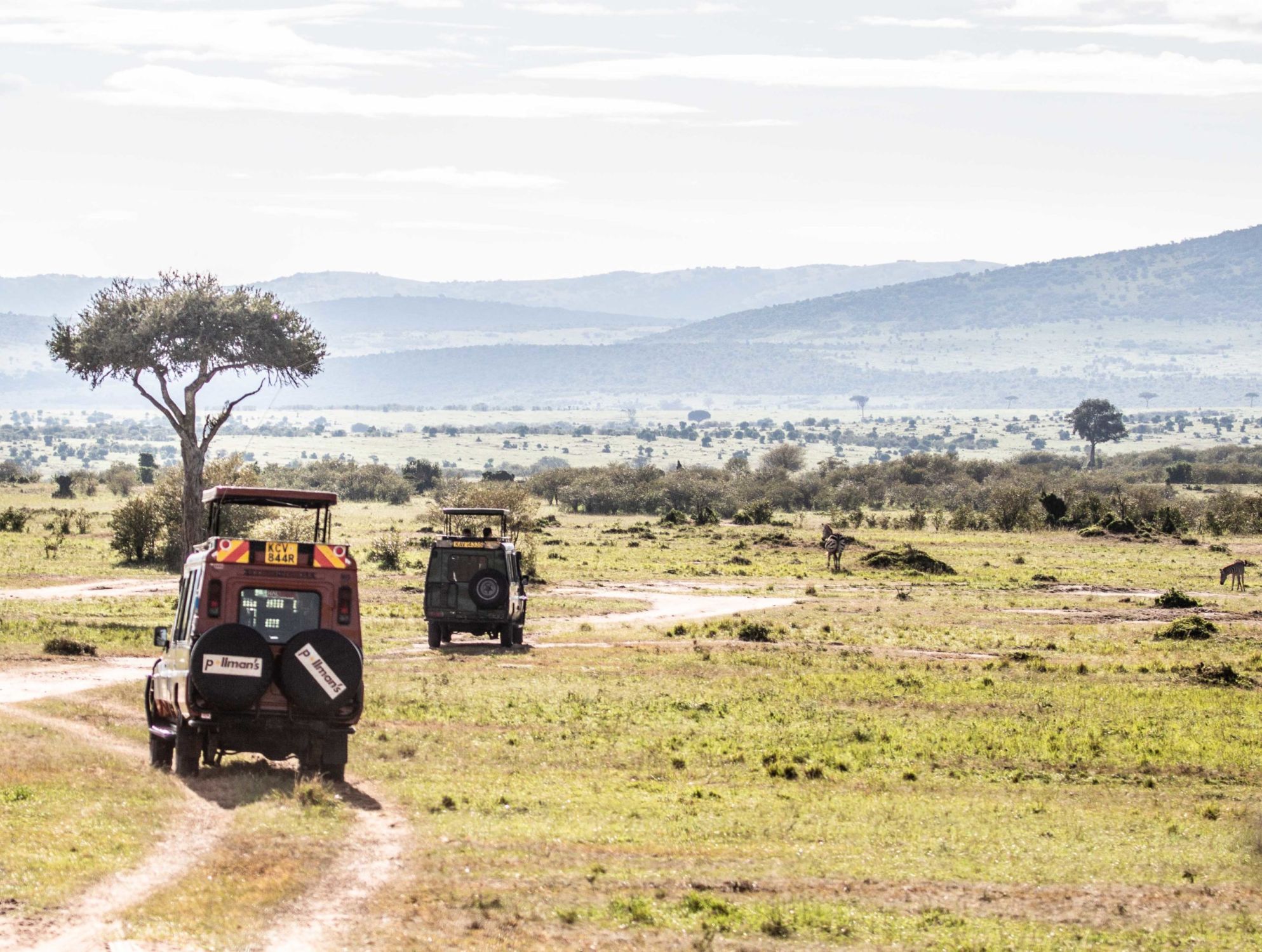 safari au Kenya safari au Kenya