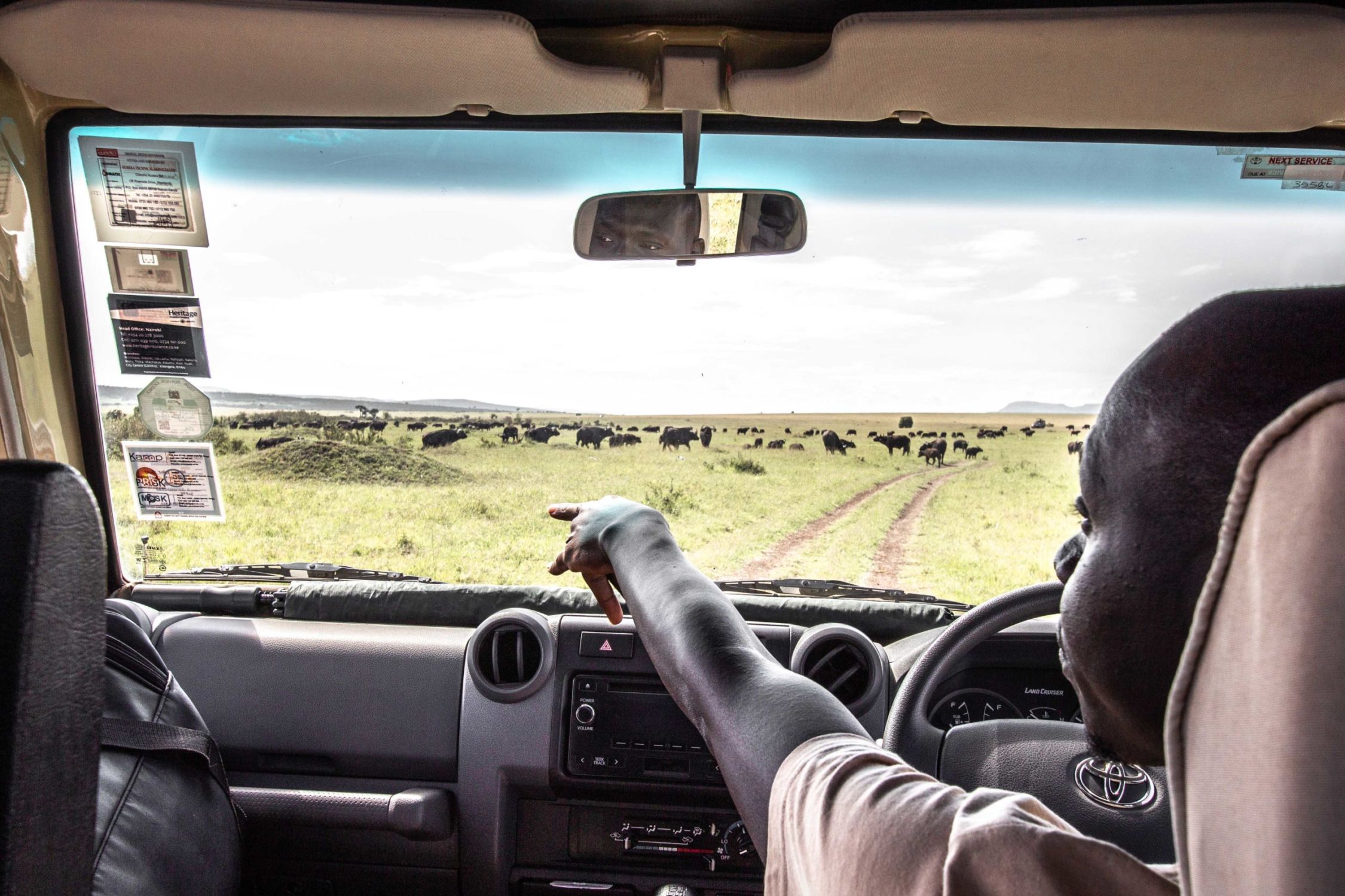 safari au Kenya safari au Kenya