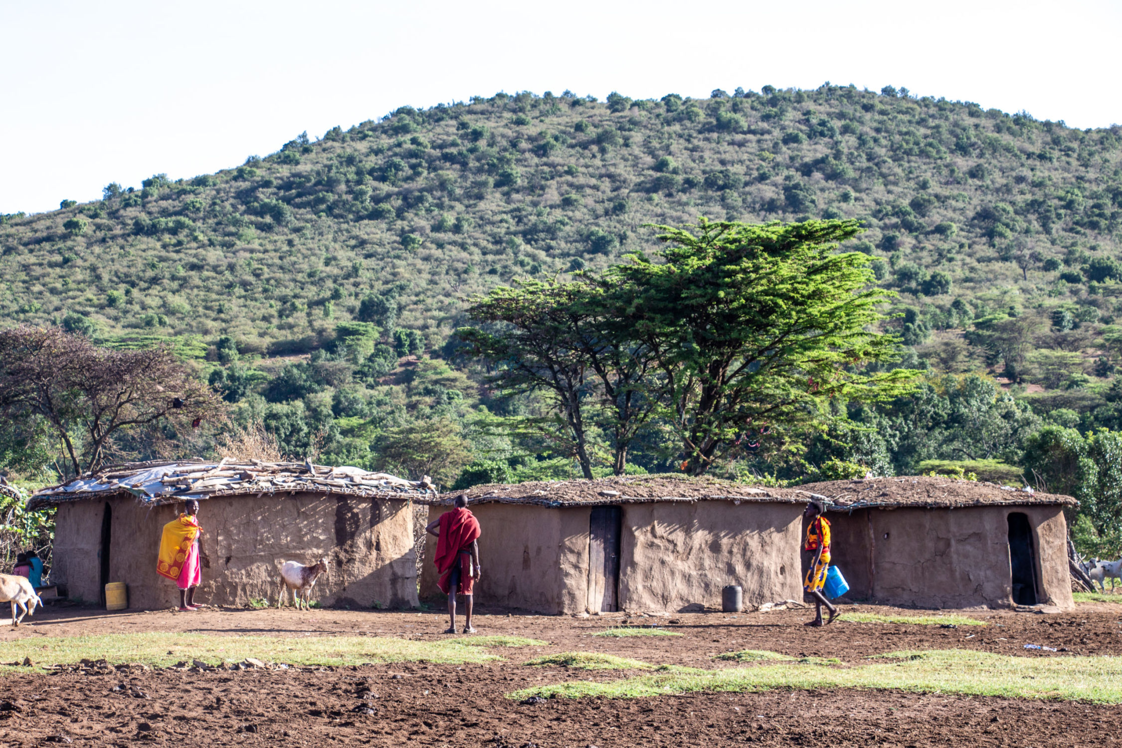 safari au Kenya safari au Kenya