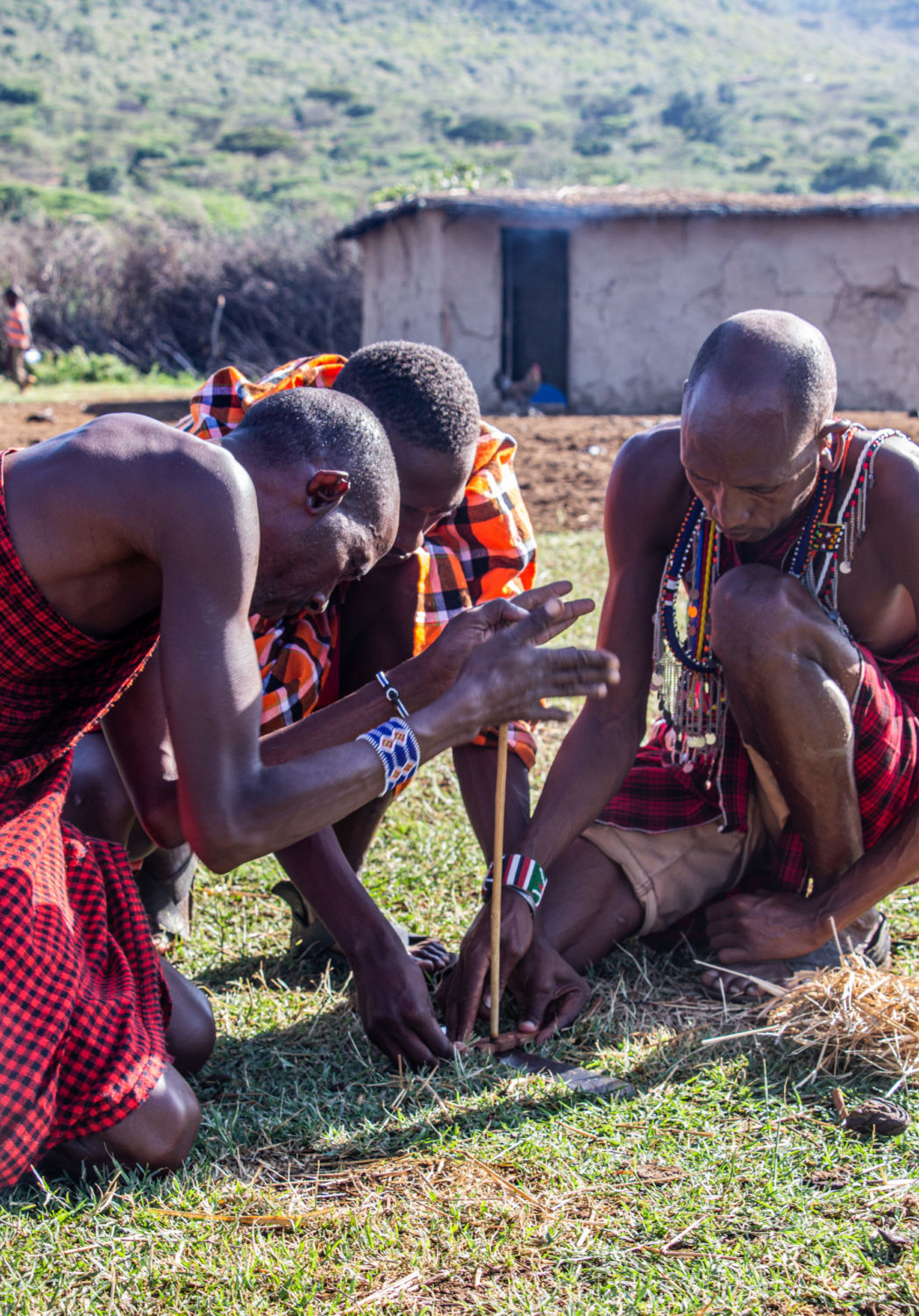 safari au Kenya safari au Kenya