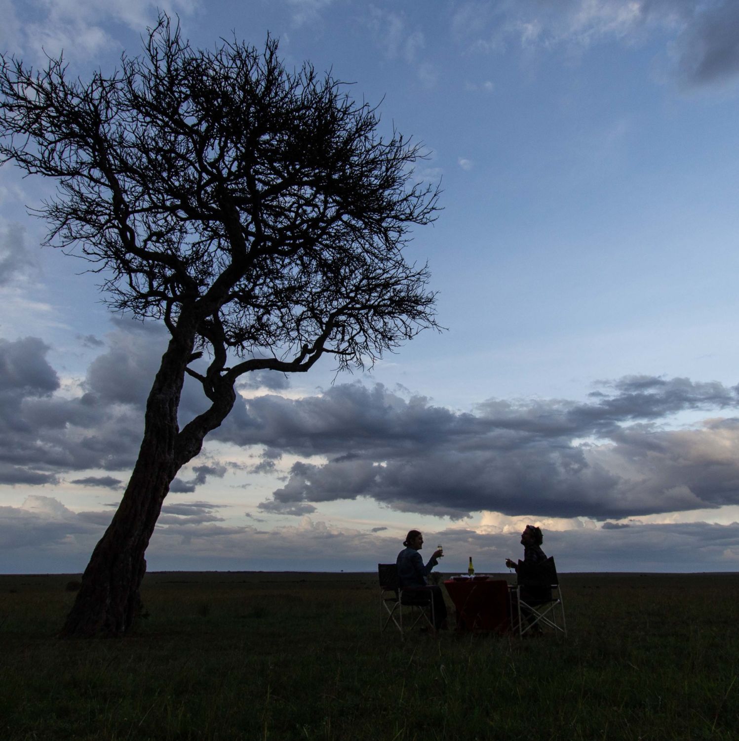 safari au Kenya safari au Kenya