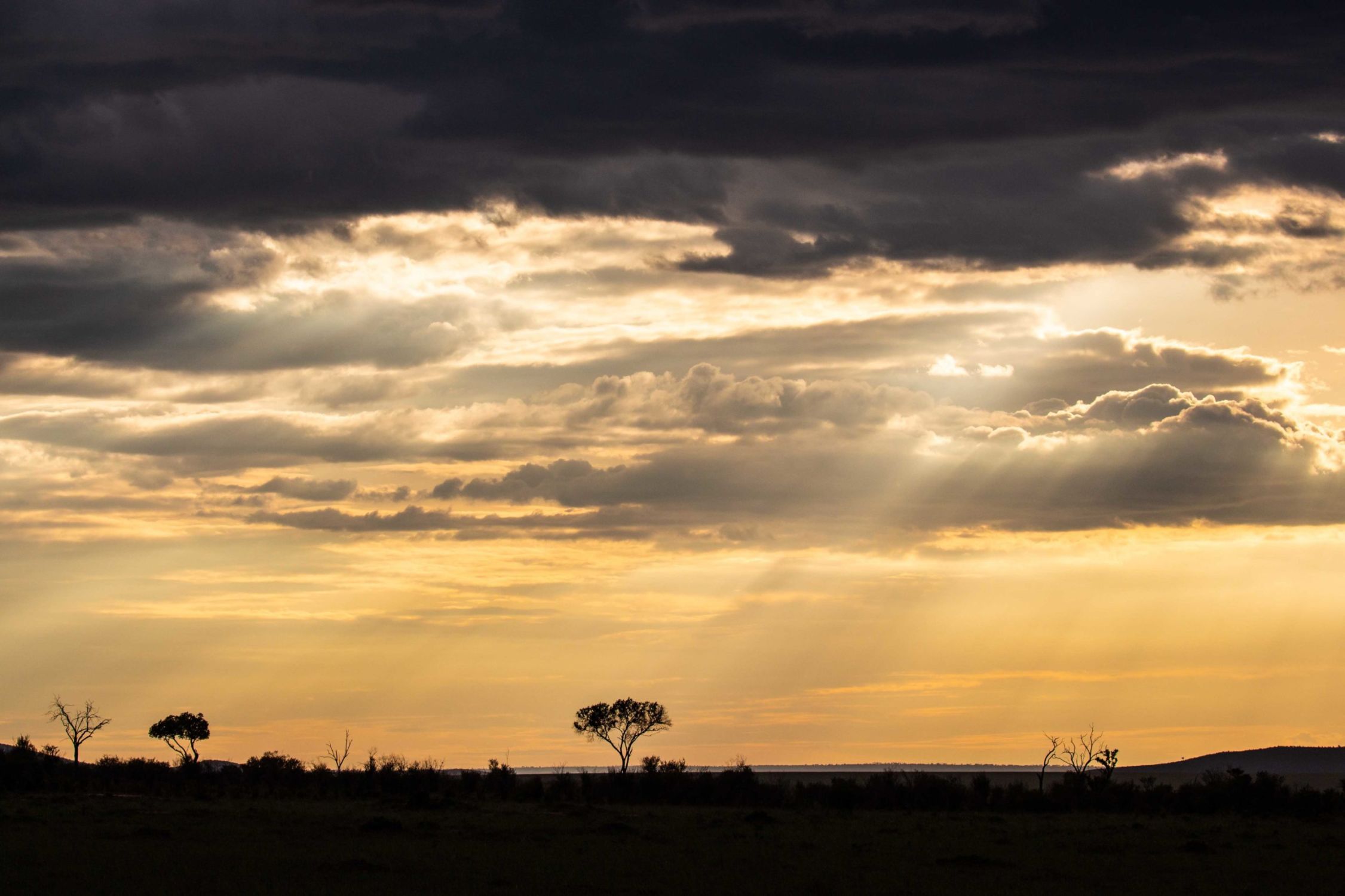 safari au Kenya safari au Kenya